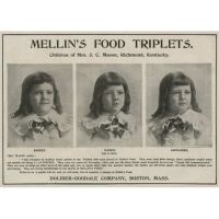 Фото идентичных близнецов тройняшек-девочек, 1897 год