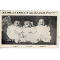 тройняшки NORTON, 1910год